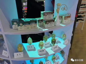 借力國際展會，麗水產品與平臺服務雙雙走出國門 理念先行如何精準匹配外商胃口？