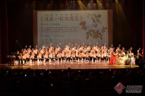 「彩云花韻」首屆琵琶文化藝術周圓滿落幕 弦音繞梁，經(jīng)典永續(xù)